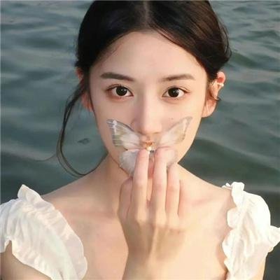 雌雄双谍封面